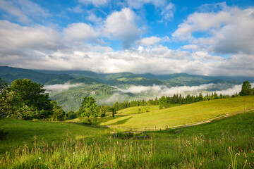 Splendid mountain valley is covered with fog and green alpine meadows. Foggy landscape. Location place Carpathian mountains, Ukraine, Europe.