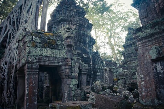 Crumbling temple towers draped in vines and moss stand silent in a forest clearing, weathered by centuries.