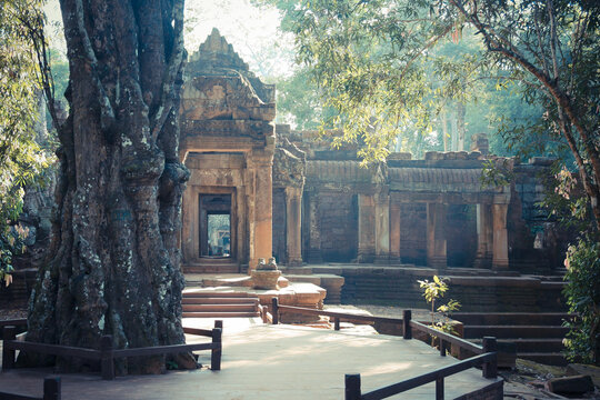 Ancient stone temple ruins surrounded by tall trees and dappled sunlight. A large tree stands in the foreground, and a pathway leads to the temple entrance framed by intricate carvings.