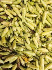 Close-up view of numerous pale green peppers.