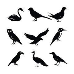 A collection of nine black bird silhouette vector icons including swan, owl, eagle, peacock, and more. Perfect for design, logo, and decoration uses.