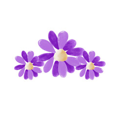 Obraz premium flowers on white background