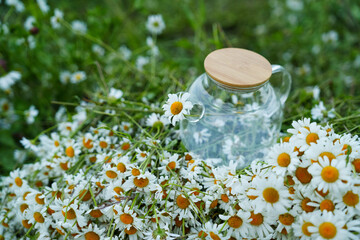 Comfortable scene of herbal preparation, daisies adding comfortable charm. Comfortable ritual...