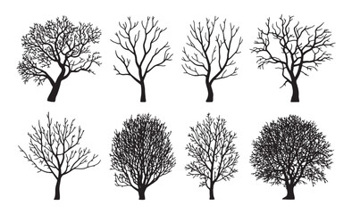 Collection of eight diverse black silhouette trees without leaves on a white background
