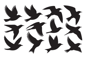 Obraz premium A collection of black bird silhouettes in various flying poses