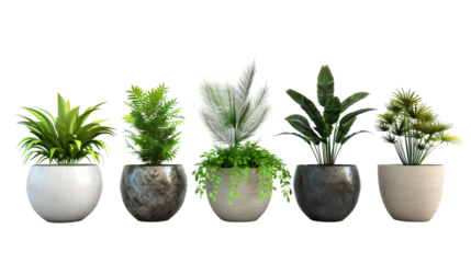 A row of five potted plants with different sizes and shapes. The plants are arranged in a row, with the tallest one in the middle and the shortest one on the far left. The plants are all green