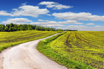 Dirt road between fields