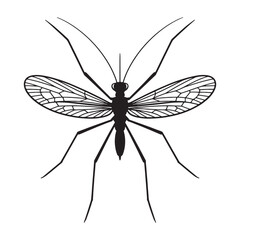 Detailed silhouette of a mosquito with intricate wing veins