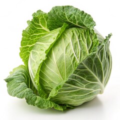 Fototapeta premium cabbage isolated on white background