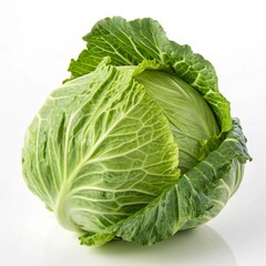 Fototapeta premium cabbage isolated on white background