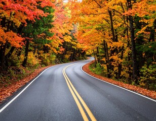 Fototapeta premium Autumn Winding Road Through Colorful Forest