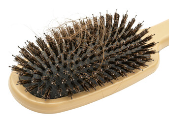 A hairbrush with tangled strands of lost hair, isolated on transparent background, highlighting a common grooming issue