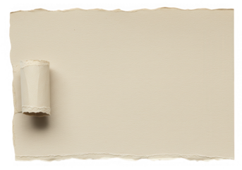 A beige piece of torn paper with a curled edge is isolated on transparent background