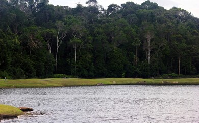 Serene Lake View: Lush Tropical Forest Reflection