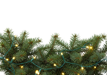 Christmas tree fir branches with holiday lights are isolated on transparent background