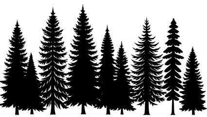 Fototapeta premium Pine Tree Forest Silhouette Illustration in Black and White Evergreen Trees in a Row silhouette