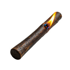 Burning wooden log with vibrant orange and blue flames, symbolizing warmth and outdoor adventures.