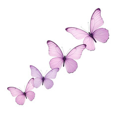 Four Delicate Pink Butterflies Against Black Background
