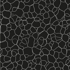 Abstract Black and White Cellular Network Texture Background