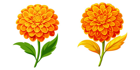 Bright marigold flower vector, flat modern style