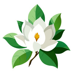 Elegant, minimal vector illustration of a white magnolia with green leaves.