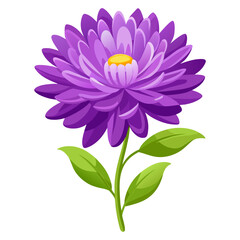 Flat, modern vector illustration of a purple aster flower with clean lines and smooth gradients, highly detailed
