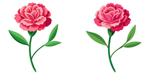 Elegant vector illustration of a pink carnation with green stem and leaves
