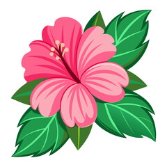 Tropical vector illustration of a pink hibiscus flower with green leaves.