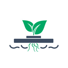 Hydroponic farming concept: leafy plants growing above water with visible roots, symbolizing sustainable, soil-free cultivation.
