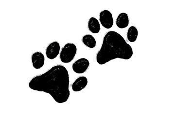 Chalk Dog Paw Prints on a Transparent background