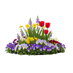 spring flower 