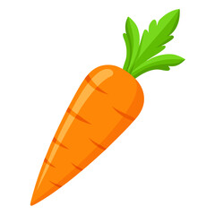 carrot vector illustration