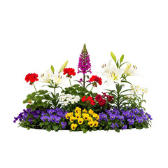 vibrant flower garden