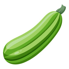 zucchini isolated on white