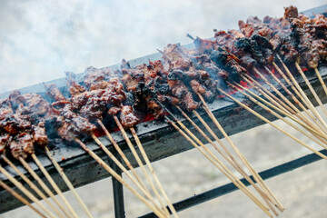 Grilling Meat Skewers on an Outdoor Barbecue with Smoke