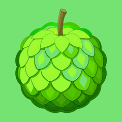 vector illustration of an apple