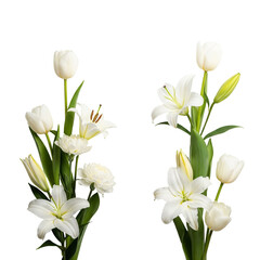 bouquet of white tulips