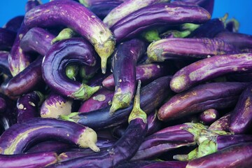 Abundant Harvest: Purple and Striped Eggplants
