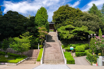 栃木県宇都宮市 宇都宮二荒山神社 参道と神門