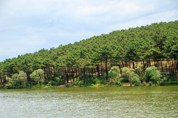 landscape of the river in the forest