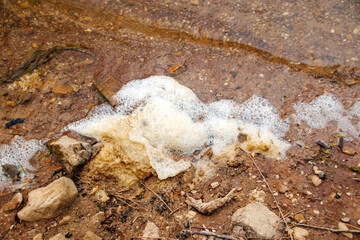 environmental pollution, mucilage in the water