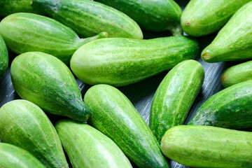 Fresh Green Cucumbers Displayed for Salad or Pickling Preparation