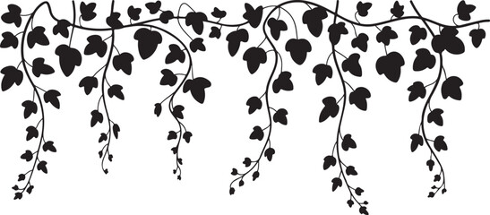 hanging ivy vine silhouette border with cascading leaves in black and white botanical decoration style