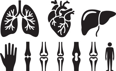 Human organ, anatomy icon set. Vector glyph pictograms of brain, heart, lungs, liver, stomach, intestine, kidney medical, healthcare, and biology concept black silhouette illustration.