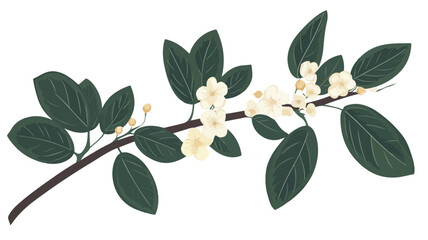 Elegant Leaves Branch with Flower - Simple Flat Design