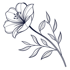 Delicate Floral Harmony: A graceful line drawing of a pristine flower, radiating delicate charm and organic beauty, perfect for design and artistic projects.