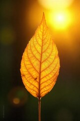 Sunlit Golden Leaf Serenity and Spiritual Connection, Perfect for Wellness, Yoga, and Meditation Themes