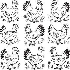 Hand Drawn Chicken Doodle Vector Set with Fun Poses and Feather Styles on White Background