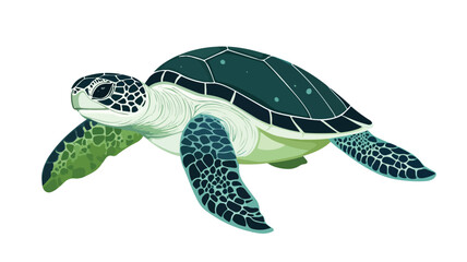 Fototapeta premium Swimming Sea Turtle With Algae: Graceful Marine Life in Motion