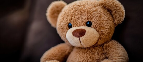 Obraz premium Close-up studio shot of a charming plush teddy bear against a dark backdrop